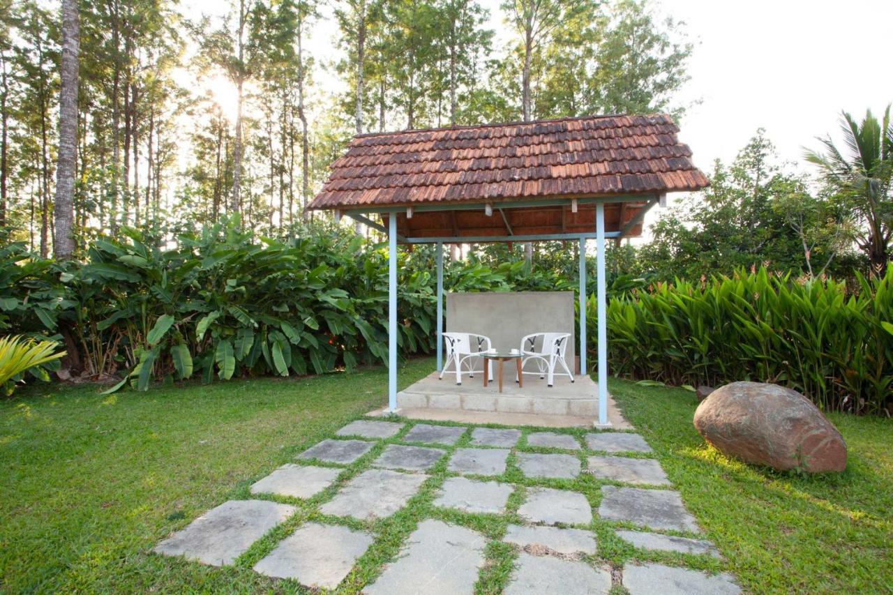 Stayvista At Cedar - Strelitzia 2Bhk With Breakfast And Jacuzzi Чикмагалур Экстерьер фото