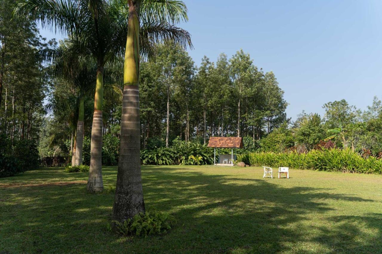 Stayvista At Cedar - Strelitzia 2Bhk With Breakfast And Jacuzzi Чикмагалур Экстерьер фото